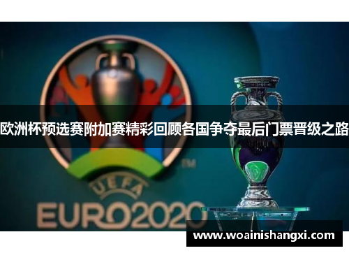 欧洲杯预选赛附加赛精彩回顾各国争夺最后门票晋级之路