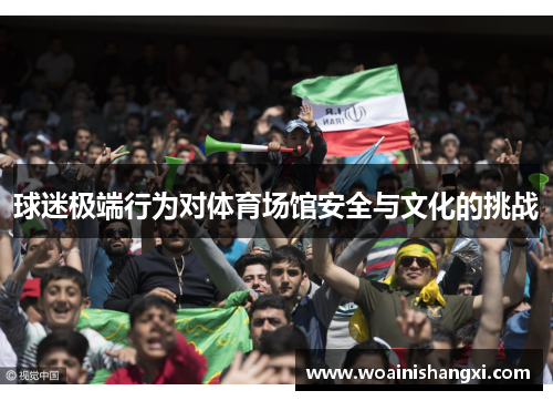 球迷极端行为对体育场馆安全与文化的挑战